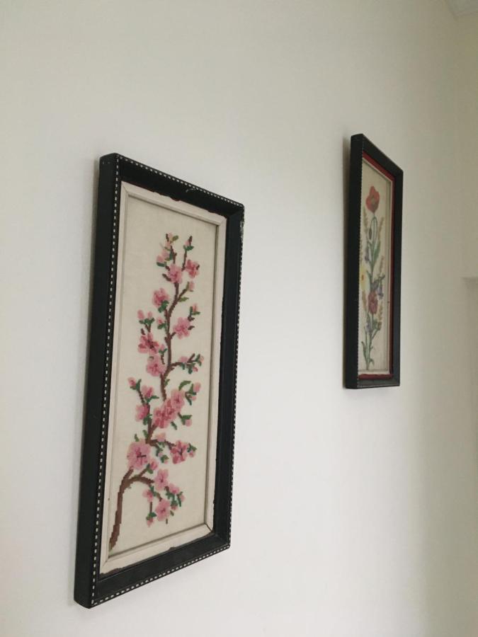 Apartament Oresti コルチャ エクステリア 写真